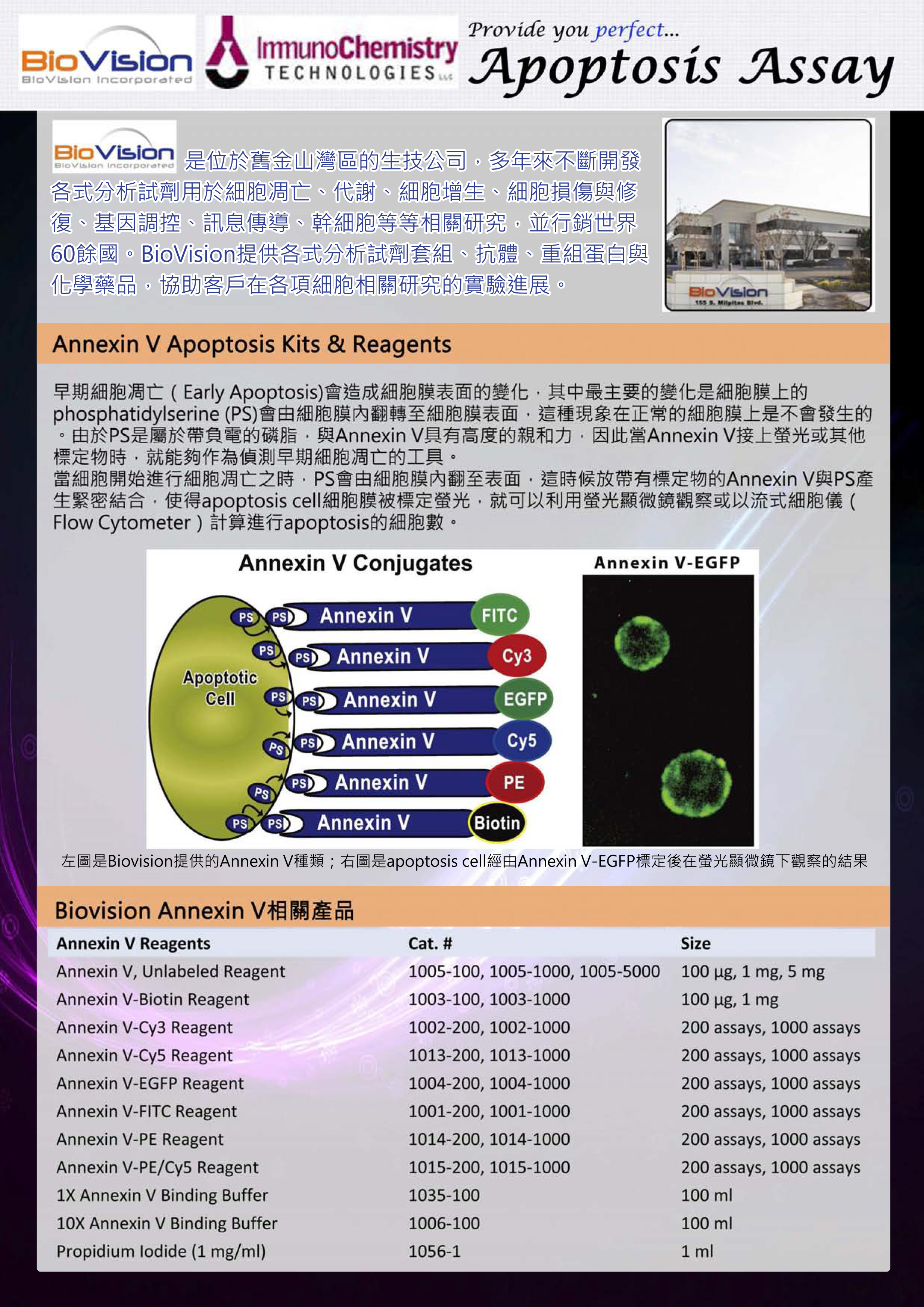 Apoptosis專刊